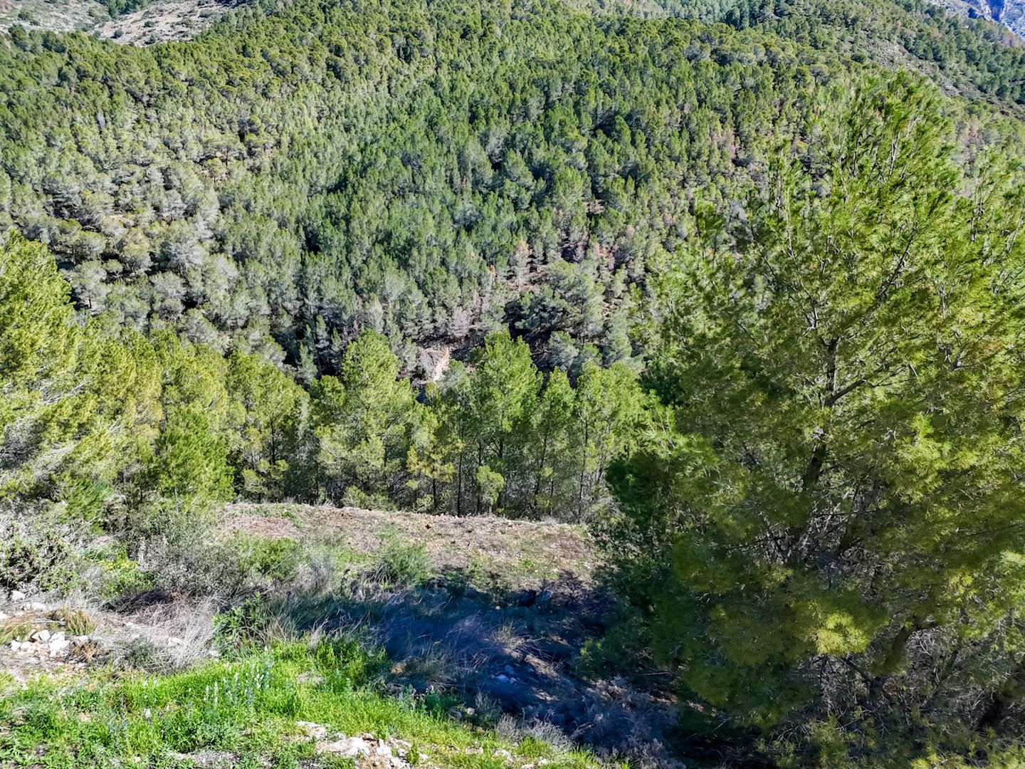 Parcela en Altea, Alicante, España 985 m2 No. 168646