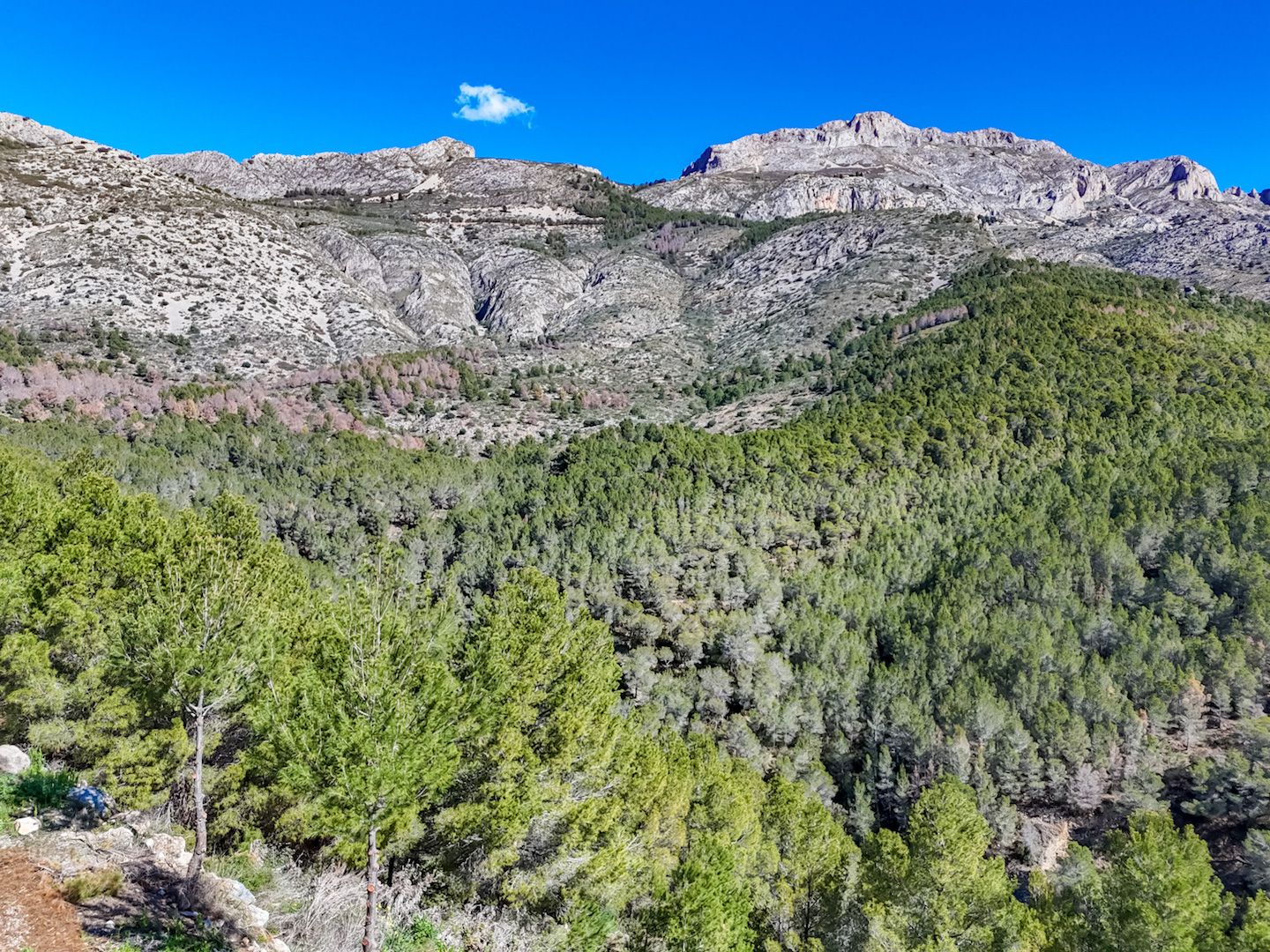 Parcela en Altea, Alicante, España 985 m2 No. 168646