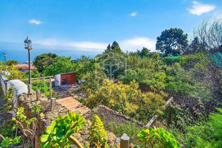 Villa in Icod de los Vinos, Tenerife, Spain No. 168644