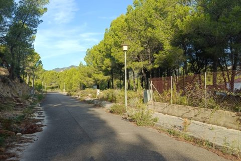 Tontti Vandellòs i l'Hospitalet de l'Infant, Tarragona, Espanja 912 m2 No. 185378