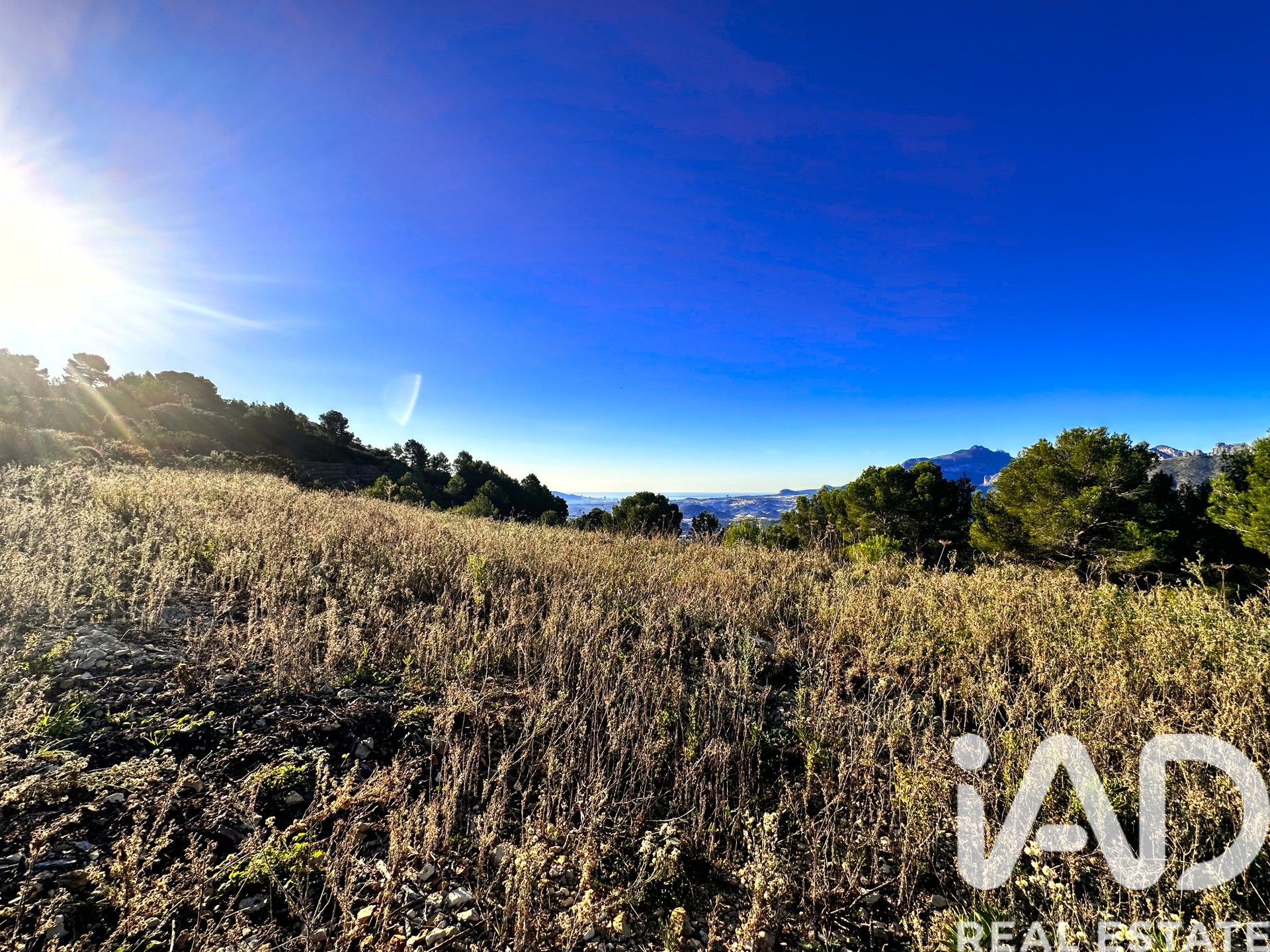 Terreno a Tarbena, Alicante, Spagna 12058 mq. N° 185499
