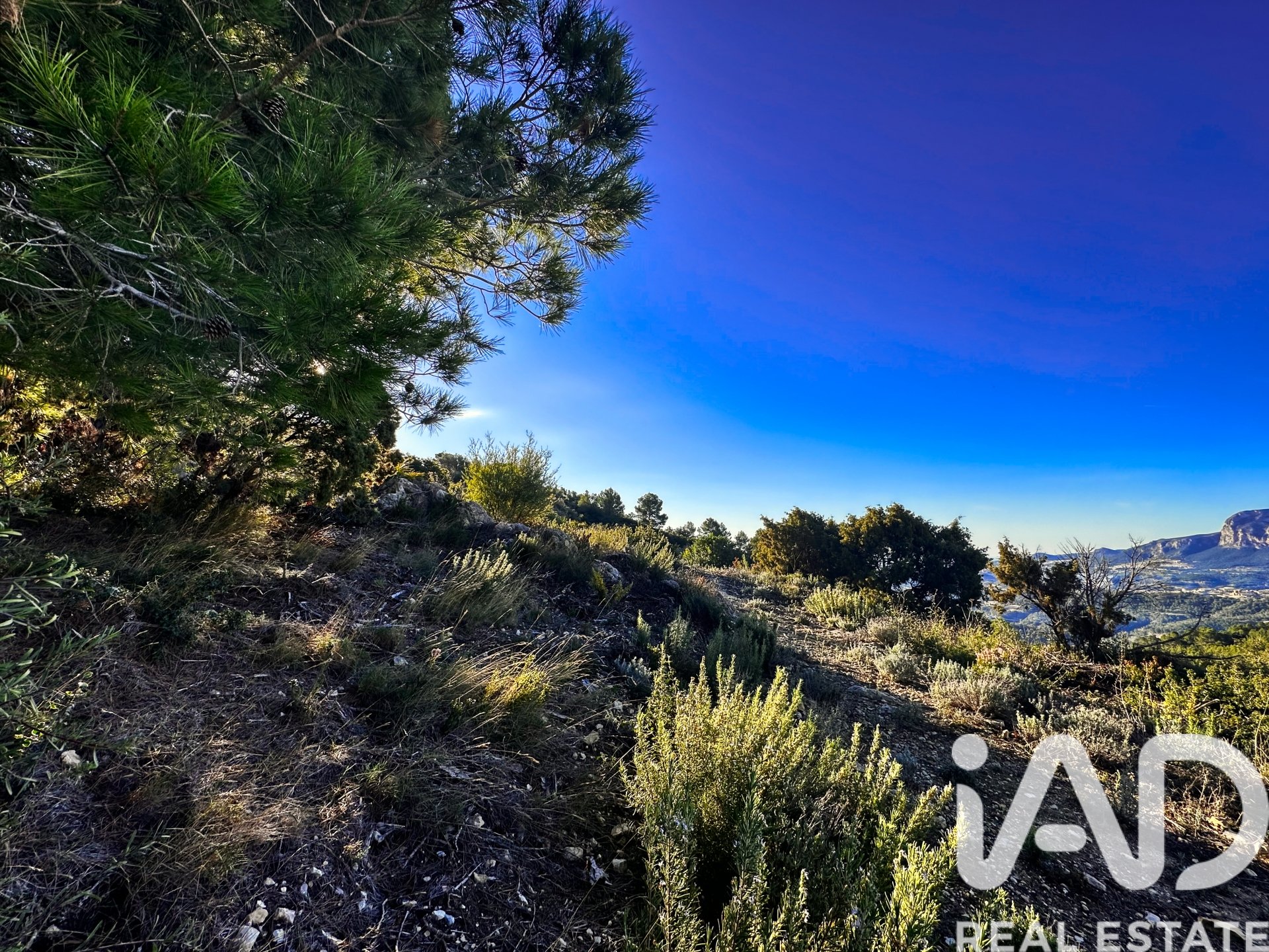 Terreno a Tarbena, Alicante, Spagna 12058 mq. N° 185499