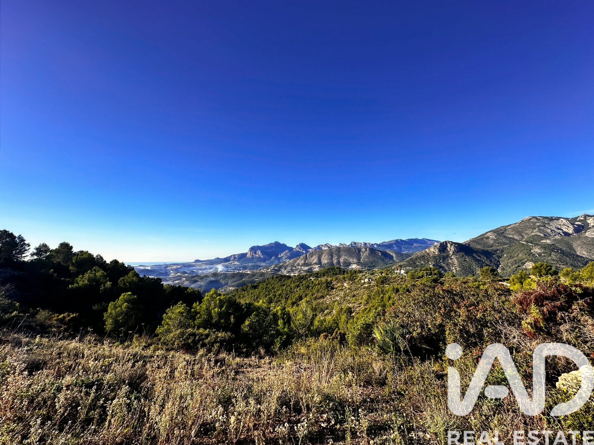 Terreno a Tarbena, Alicante, Spagna 12058 mq. N° 185499