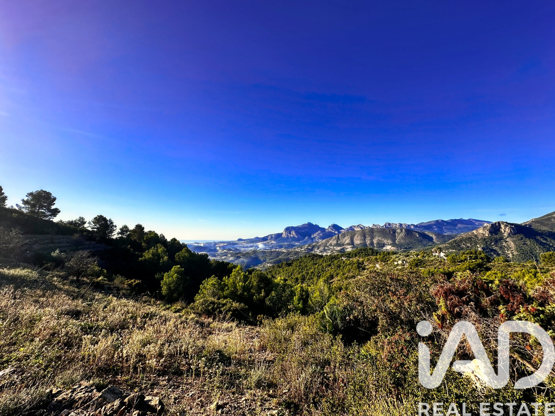 Terreno a Tarbena, Alicante, Spagna 12058 mq. N° 185499