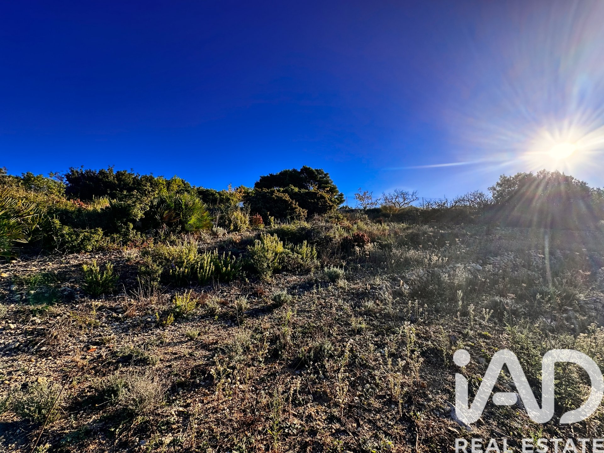 Terreno a Tarbena, Alicante, Spagna 12058 mq. N° 185499