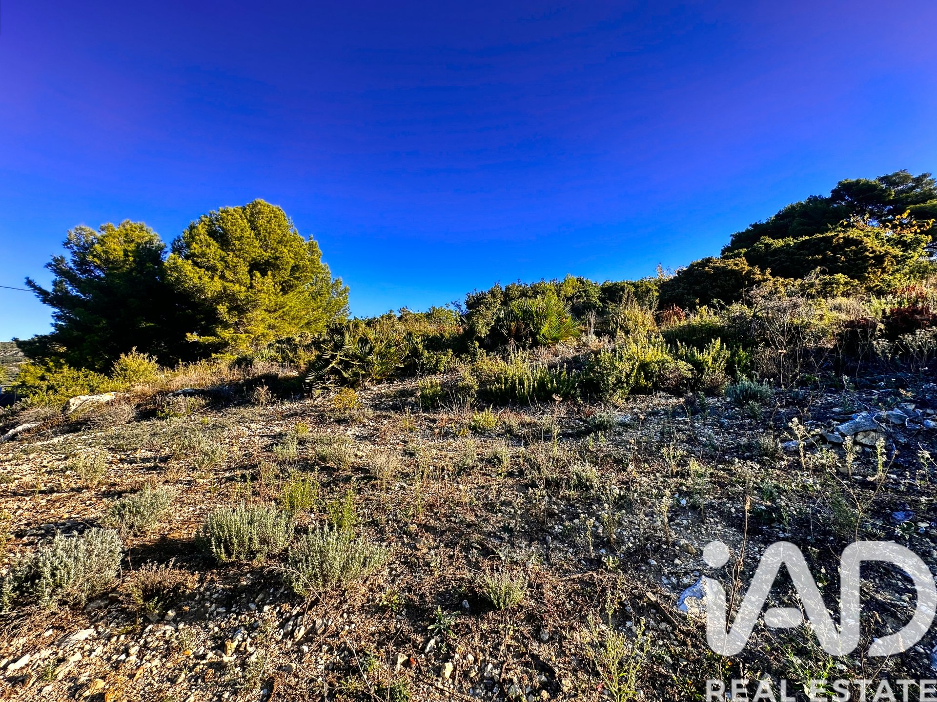 Terreno a Tarbena, Alicante, Spagna 12058 mq. N° 185499