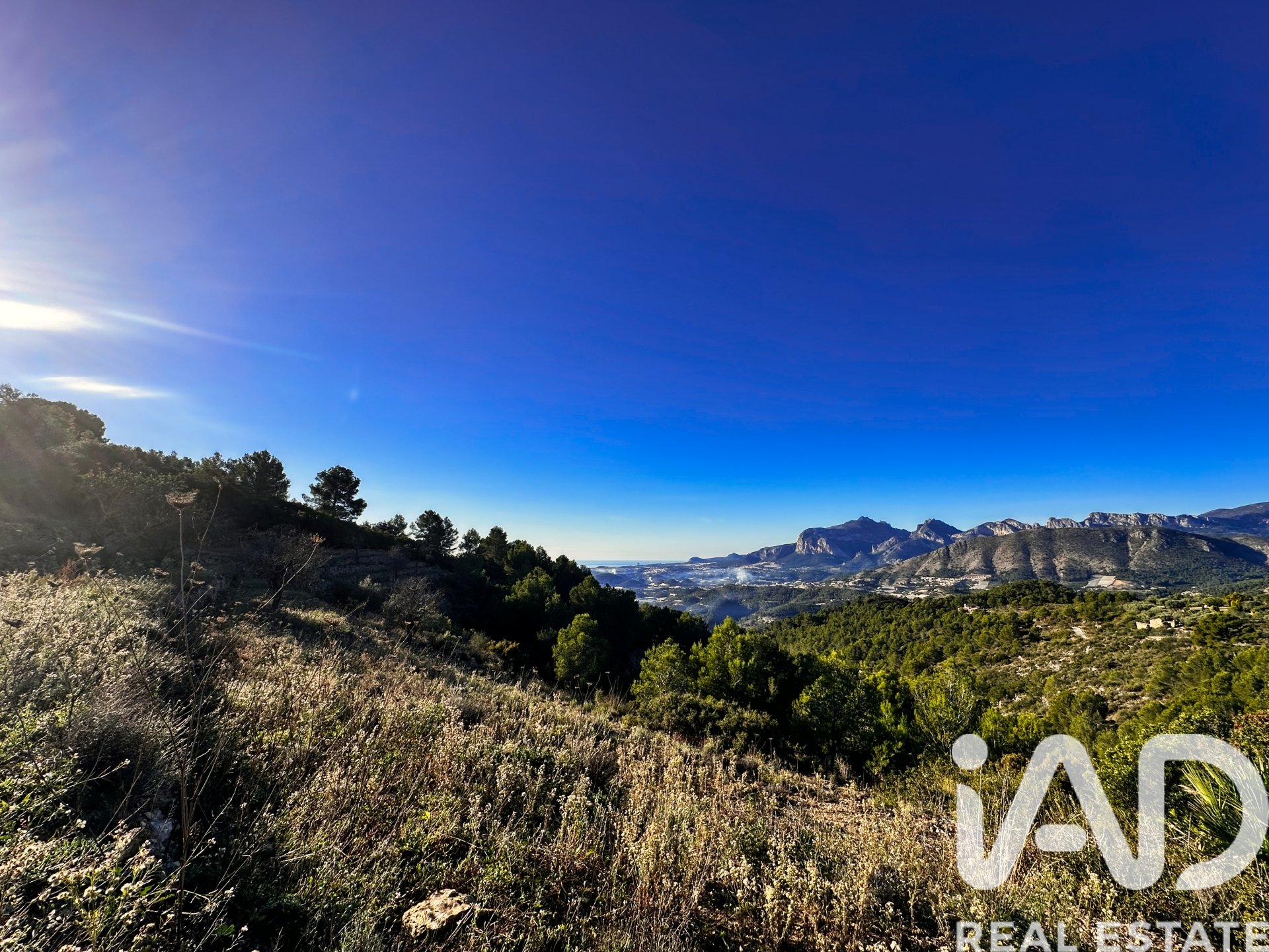 Terreno a Tarbena, Alicante, Spagna 12058 mq. N° 185499