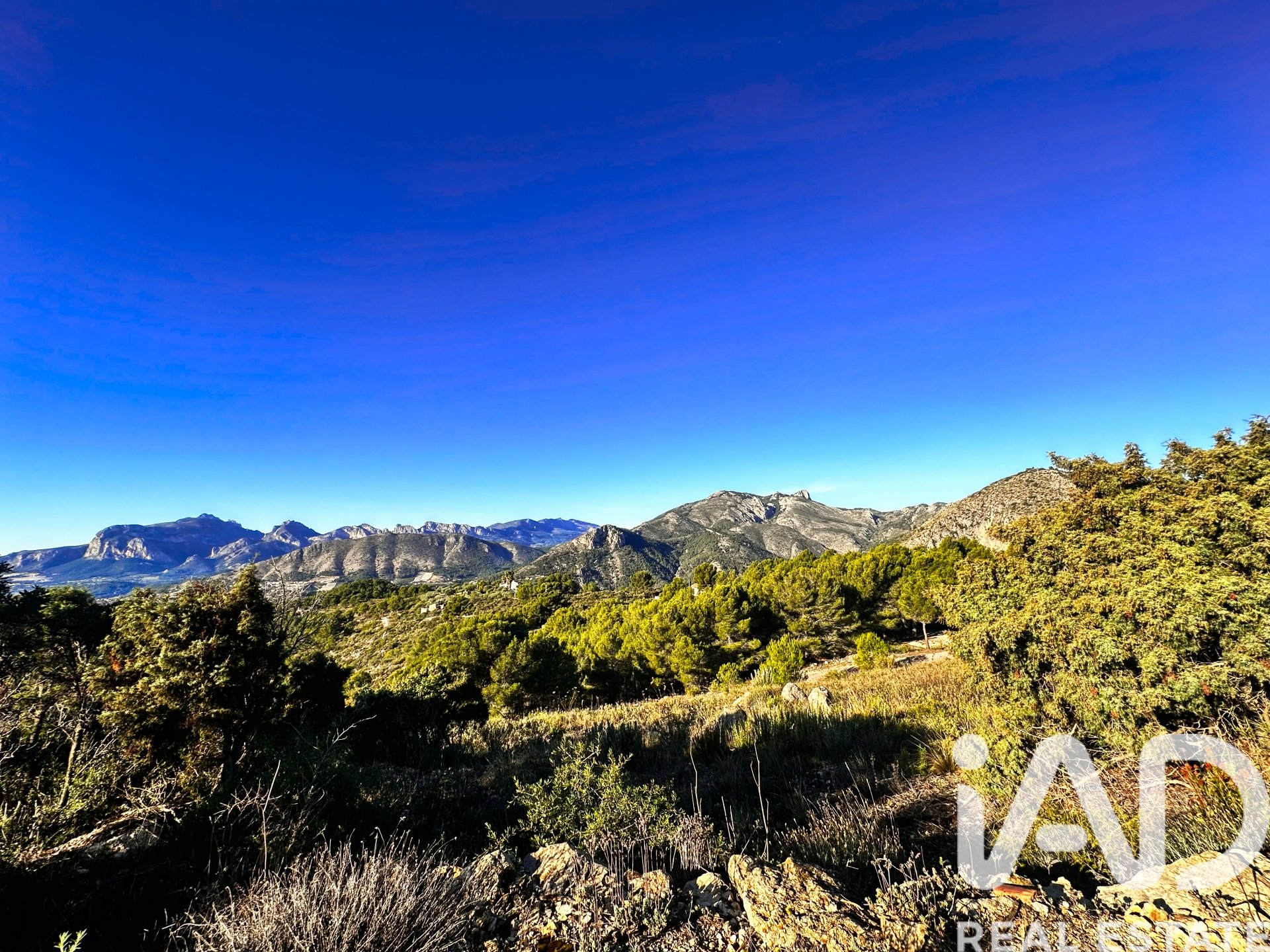 Terreno a Tarbena, Alicante, Spagna 12058 mq. N° 185499