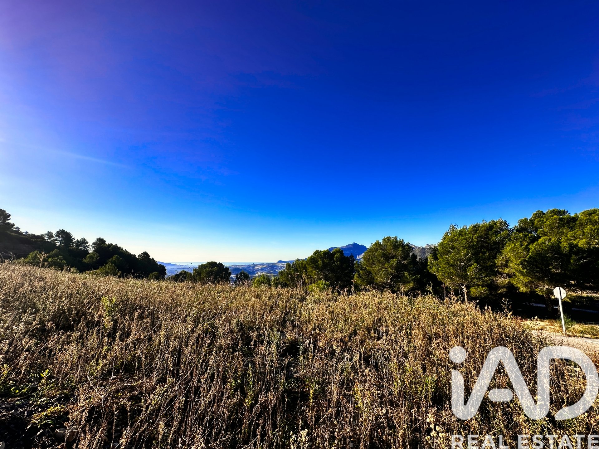 Terreno a Tarbena, Alicante, Spagna 12058 mq. N° 185499