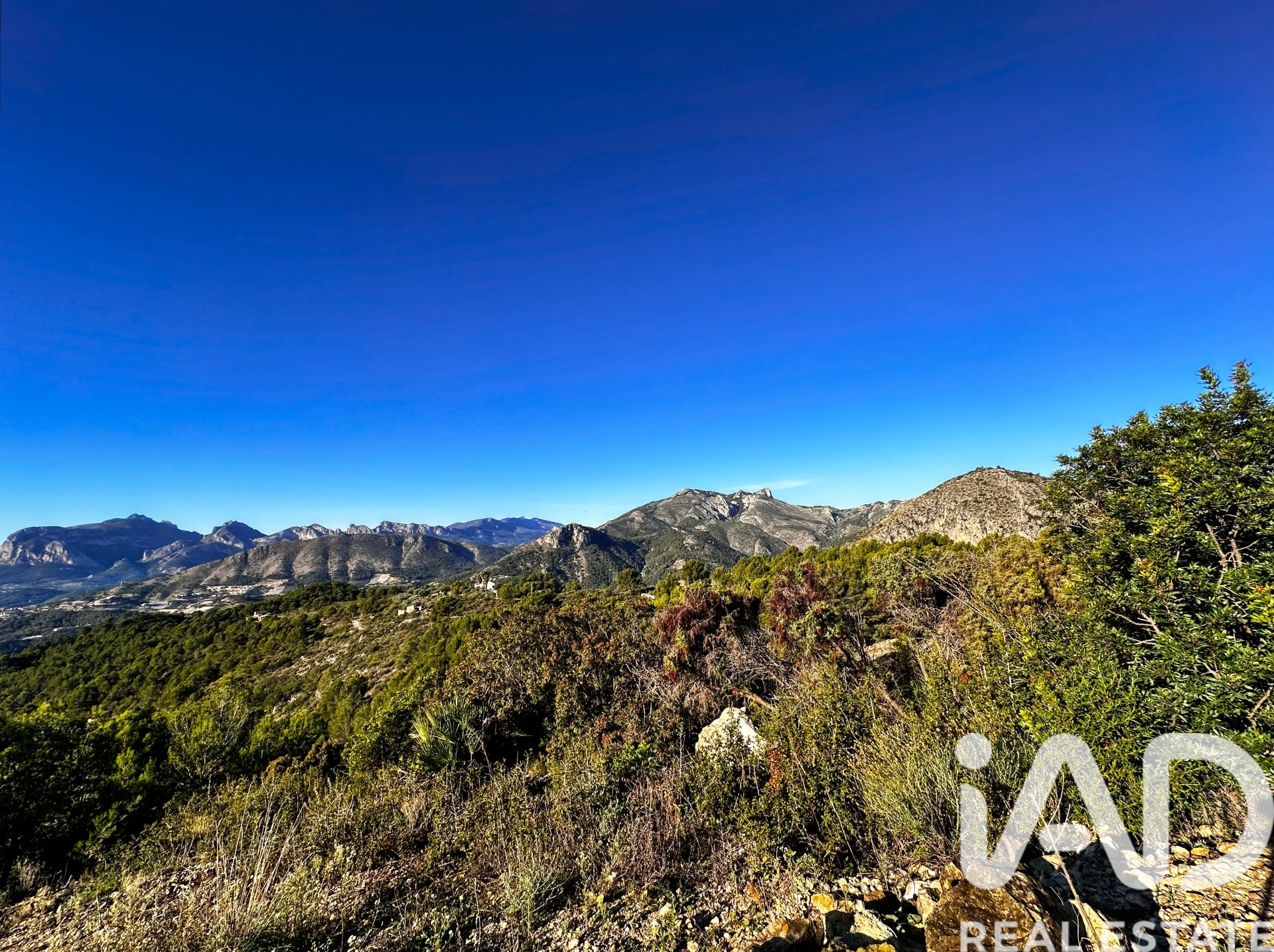 Terreno a Tarbena, Alicante, Spagna 12058 mq. N° 185499