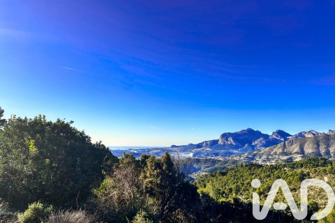 Terreno a Tarbena, Alicante, Spagna 12058 mq. N° 185499