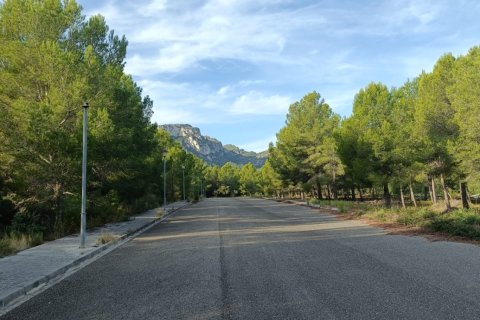 Zemes gabals Vandellòs i l'Hospitalet de l'Infant, Tarragona, Spānijā 768 m2 Nr. 185376