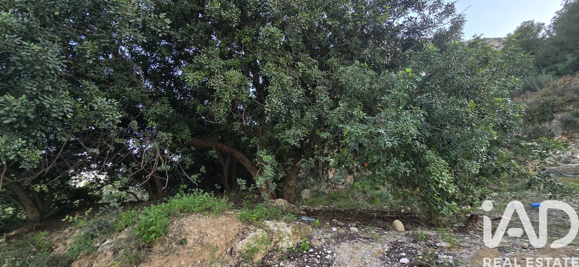 Parcela en El Verger, Alicante, España 7695 m2 No. 185498