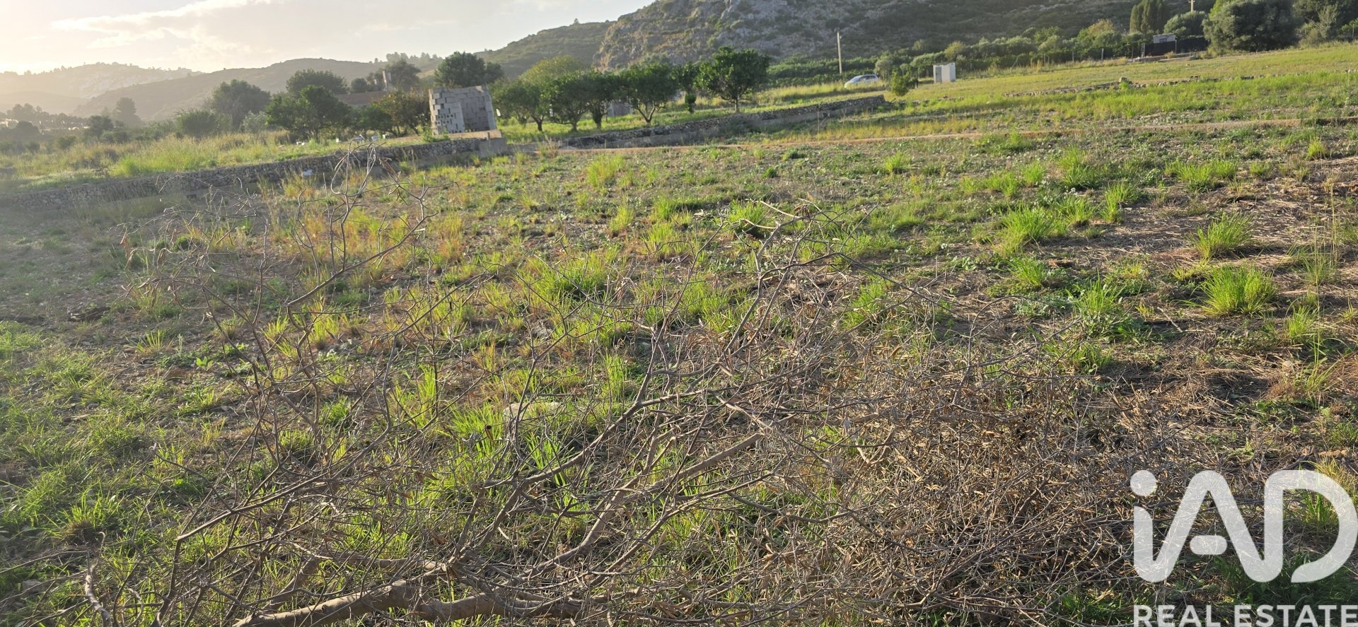 Parcela en El Verger, Alicante, España 7695 m2 No. 185498