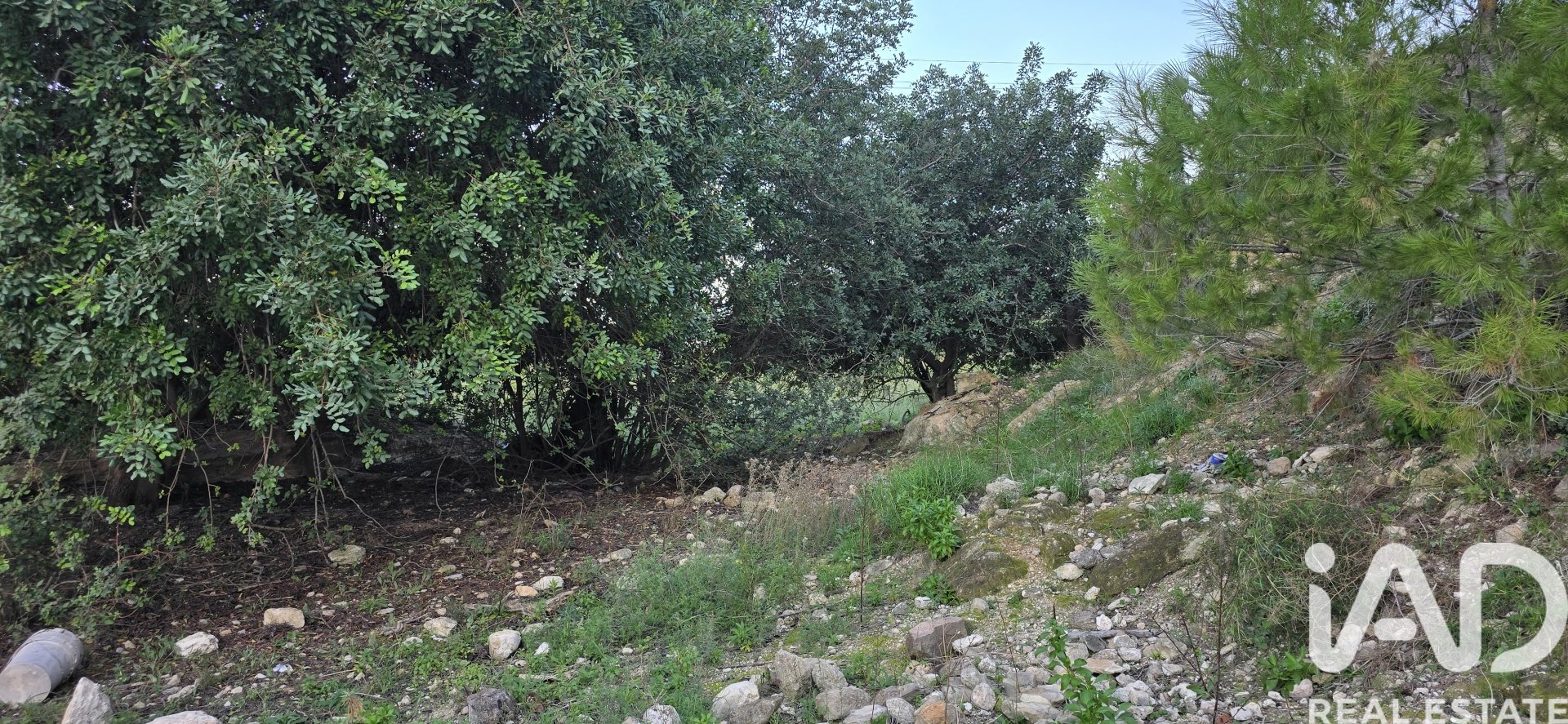 Parcela en El Verger, Alicante, España 7695 m2 No. 185498