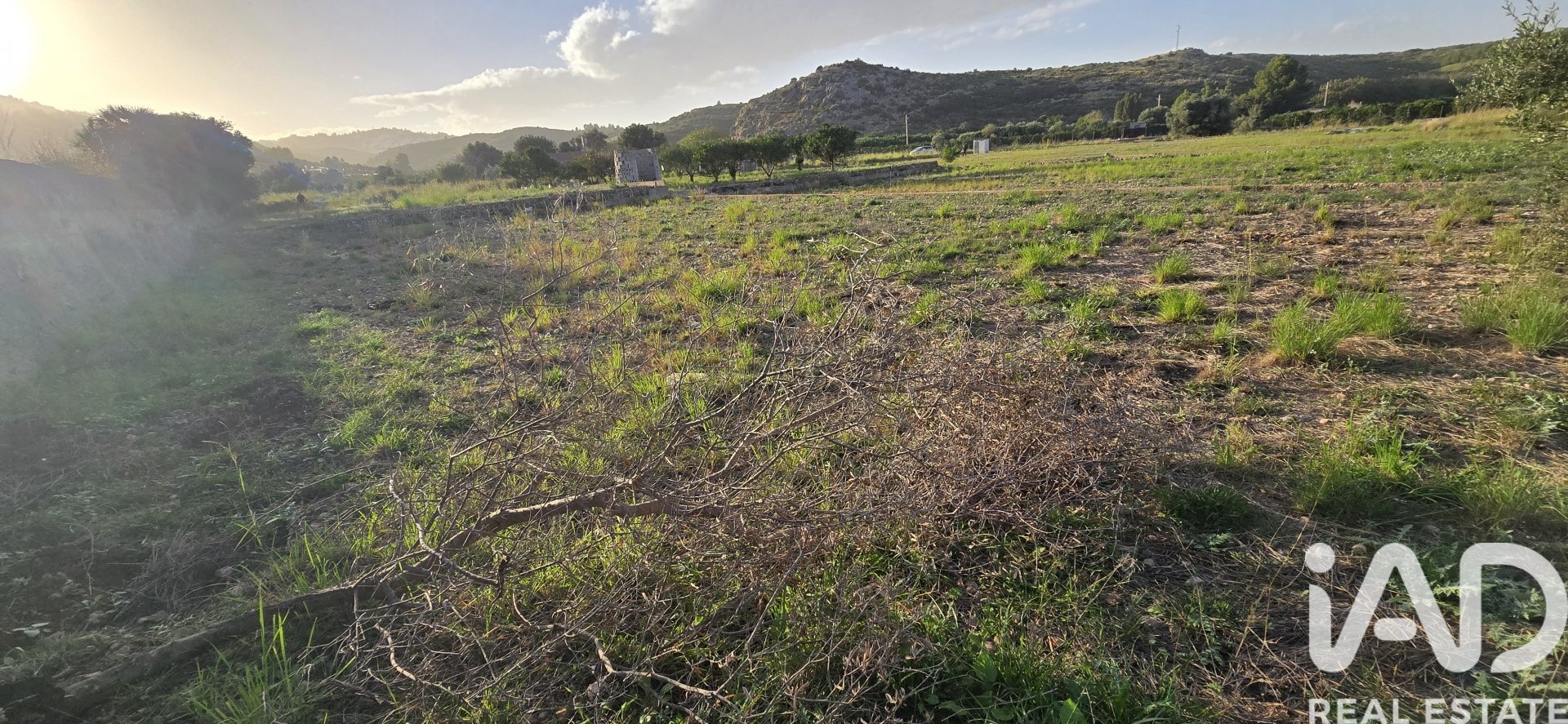 Parcela en El Verger, Alicante, España 7695 m2 No. 185498