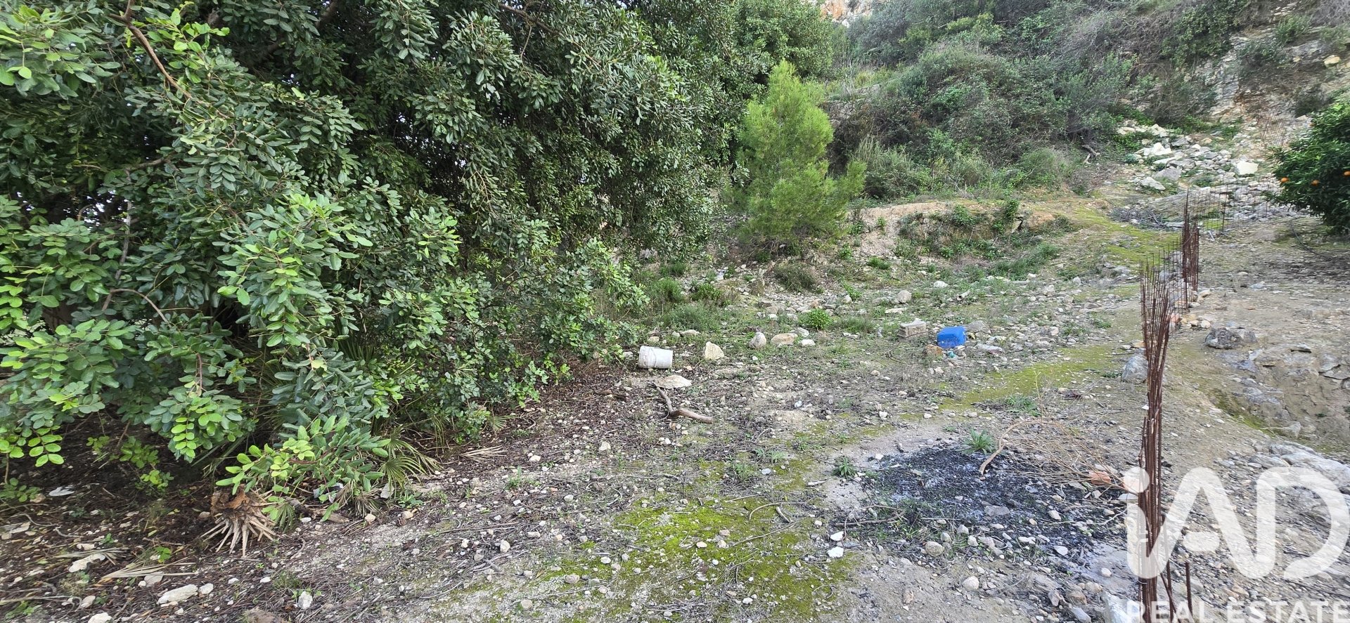 Parcela en El Verger, Alicante, España 7695 m2 No. 185498
