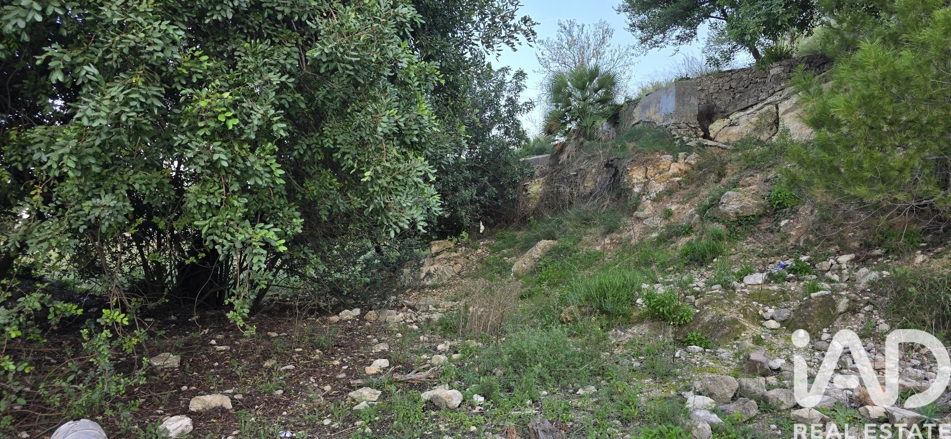 Parcela en El Verger, Alicante, España 7695 m2 No. 185498