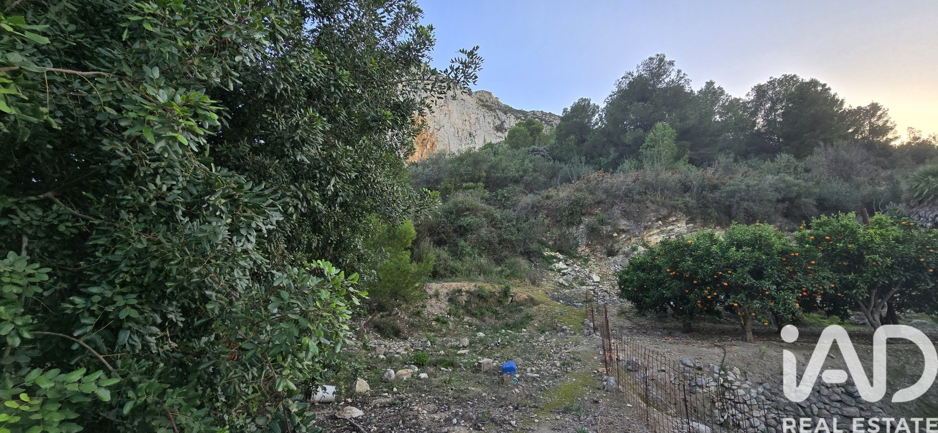 Parcela en El Verger, Alicante, España 7695 m2 No. 185498