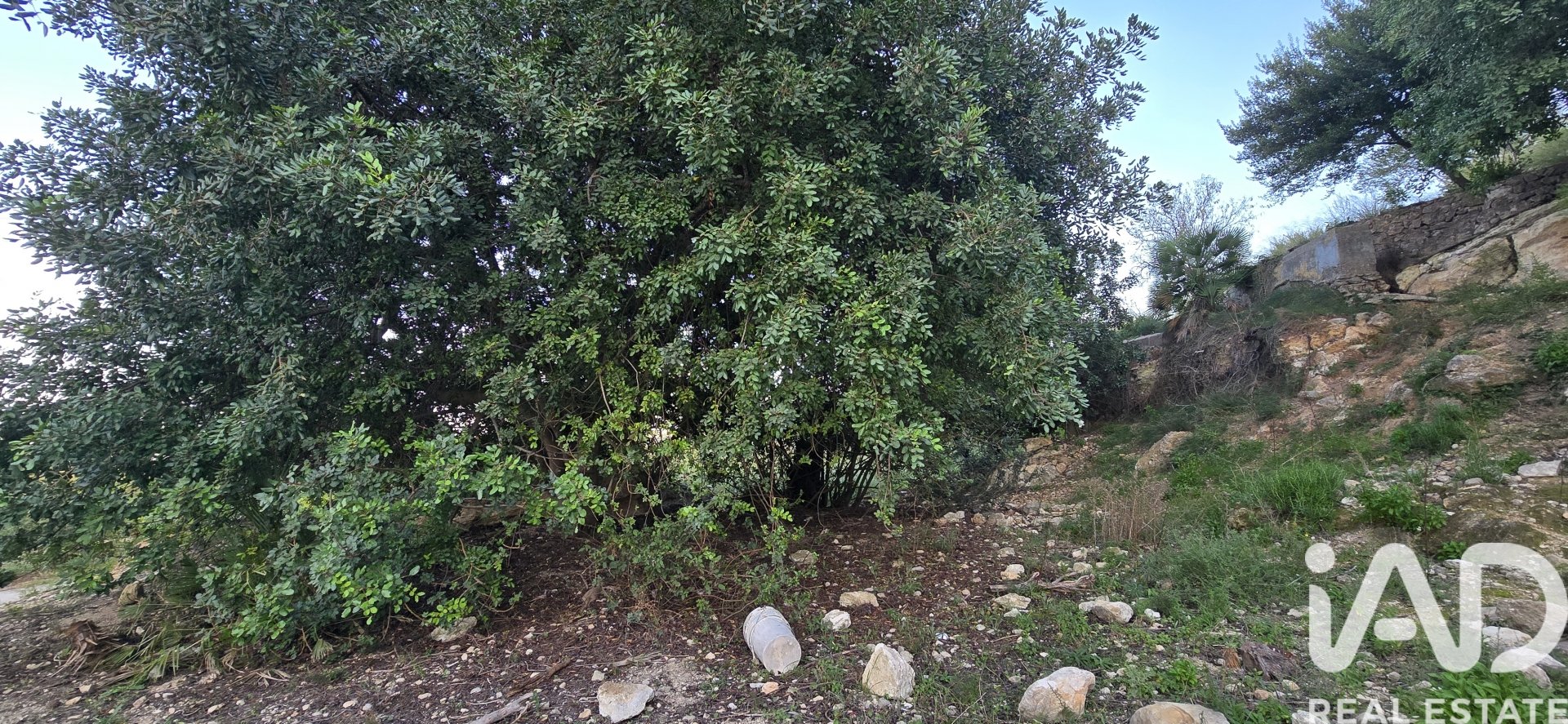 Parcela en El Verger, Alicante, España 7695 m2 No. 185498