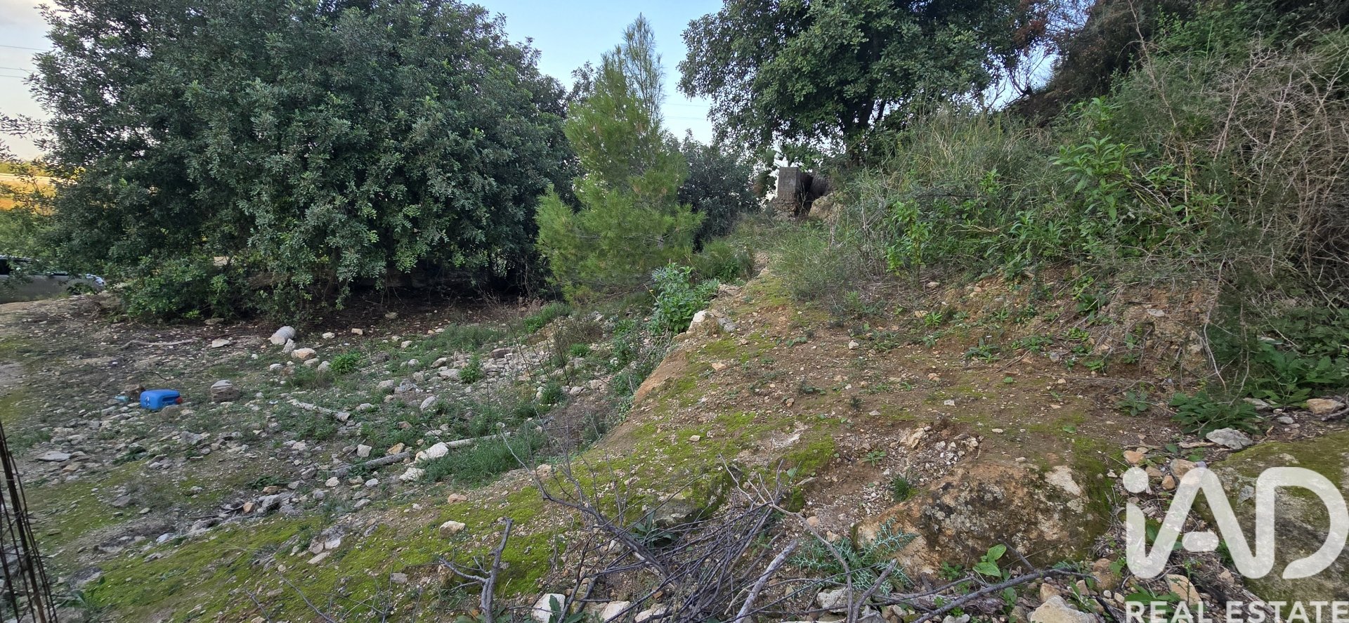 Parcela en El Verger, Alicante, España 7695 m2 No. 185498