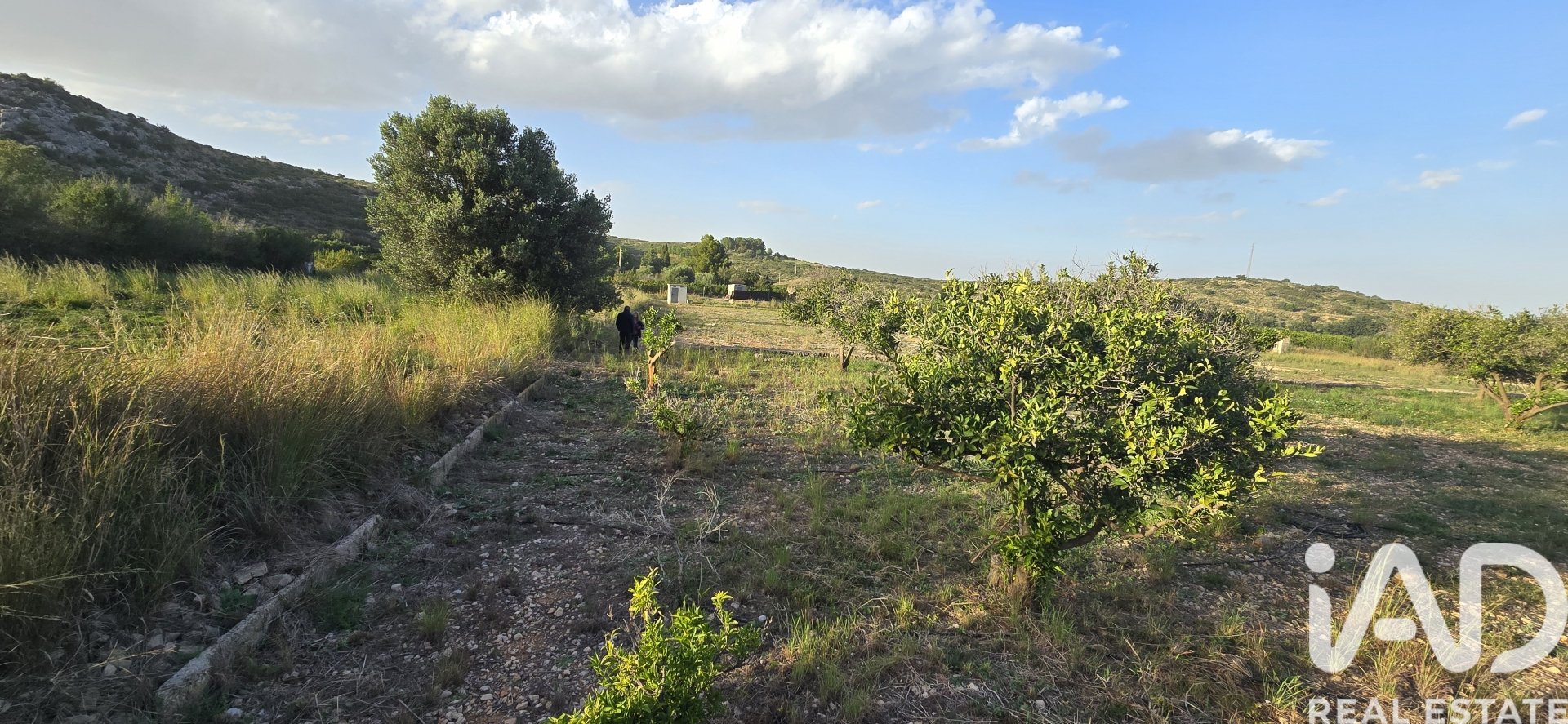 Parcela en El Verger, Alicante, España 7695 m2 No. 185498