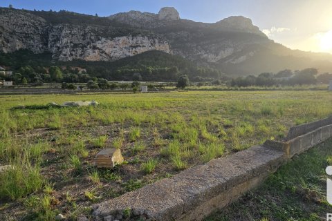 Działka w El Verger, Alicante, Hiszpania 7695 mkw. nr 185498