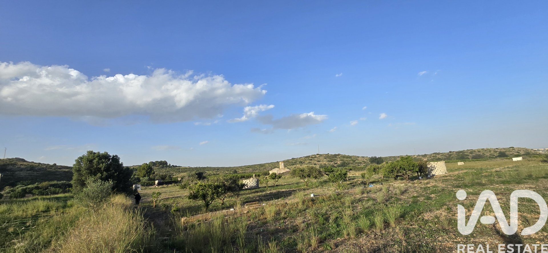 Parcela en El Verger, Alicante, España 7695 m2 No. 185498