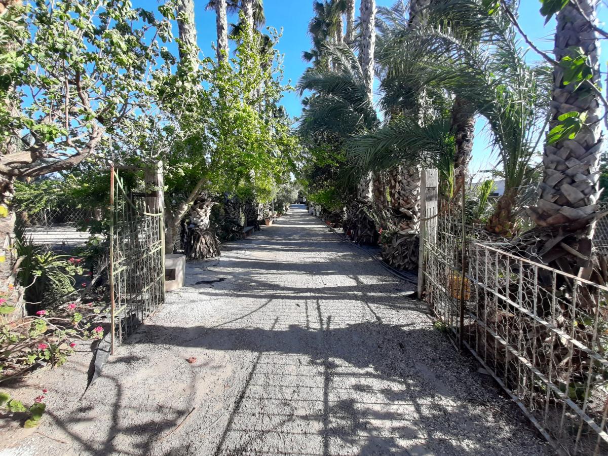 Villa Orihuela, Alicante, Spānijā 8 istabas, 600 m2 Nr. 112935