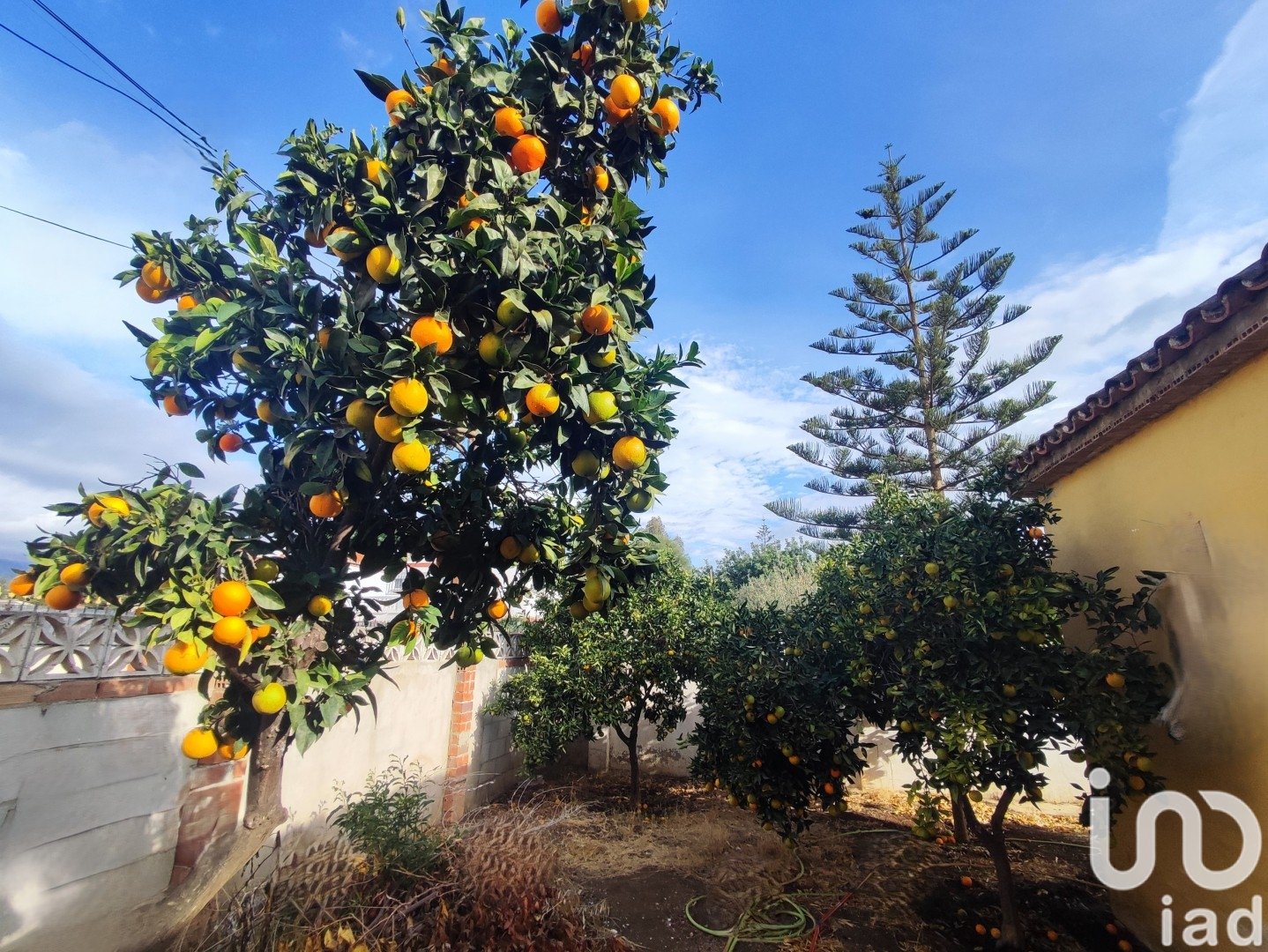 Tontti Marbella, Malaga, Espanja 620 m2 No. 153858