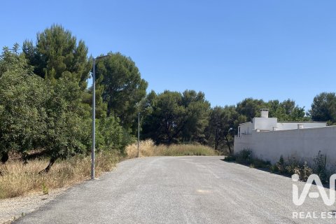 Land in Tarragona, Spanien 1021 m2 Nr. 188154