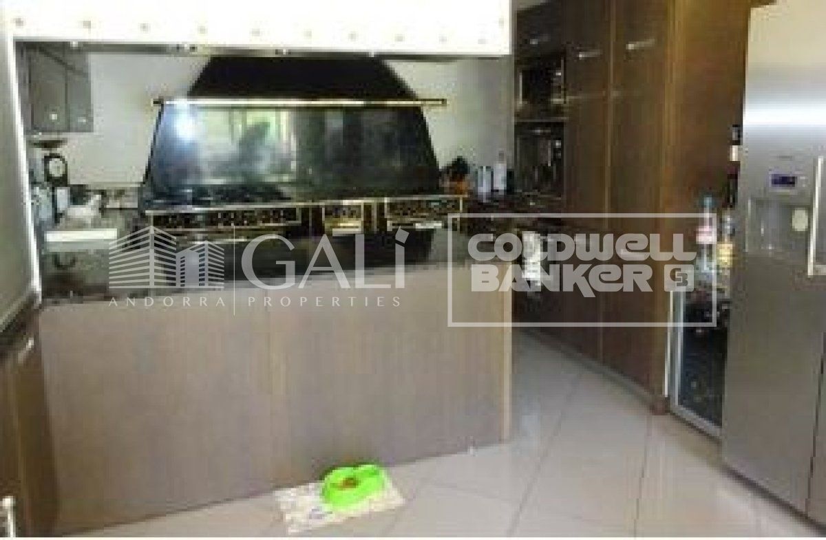 Villa in Principado De Andorra (Ninguna Poblacion Tiene C.P.), Lleida, Spanien 4 Schlafzimmer, 405 m2 Nr. 160354