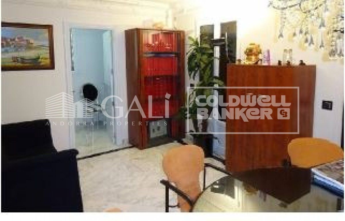 Villa in Principado De Andorra (Ninguna Poblacion Tiene C.P.), Lleida, Spanien 4 Schlafzimmer, 405 m2 Nr. 160354