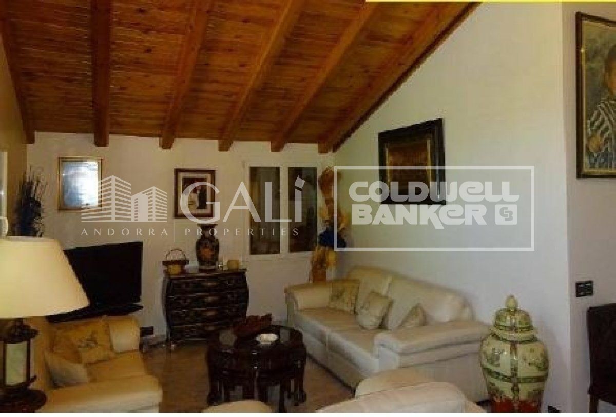 Villa in Principado De Andorra (Ninguna Poblacion Tiene C.P.), Lleida, Spanien 4 Schlafzimmer, 405 m2 Nr. 160354