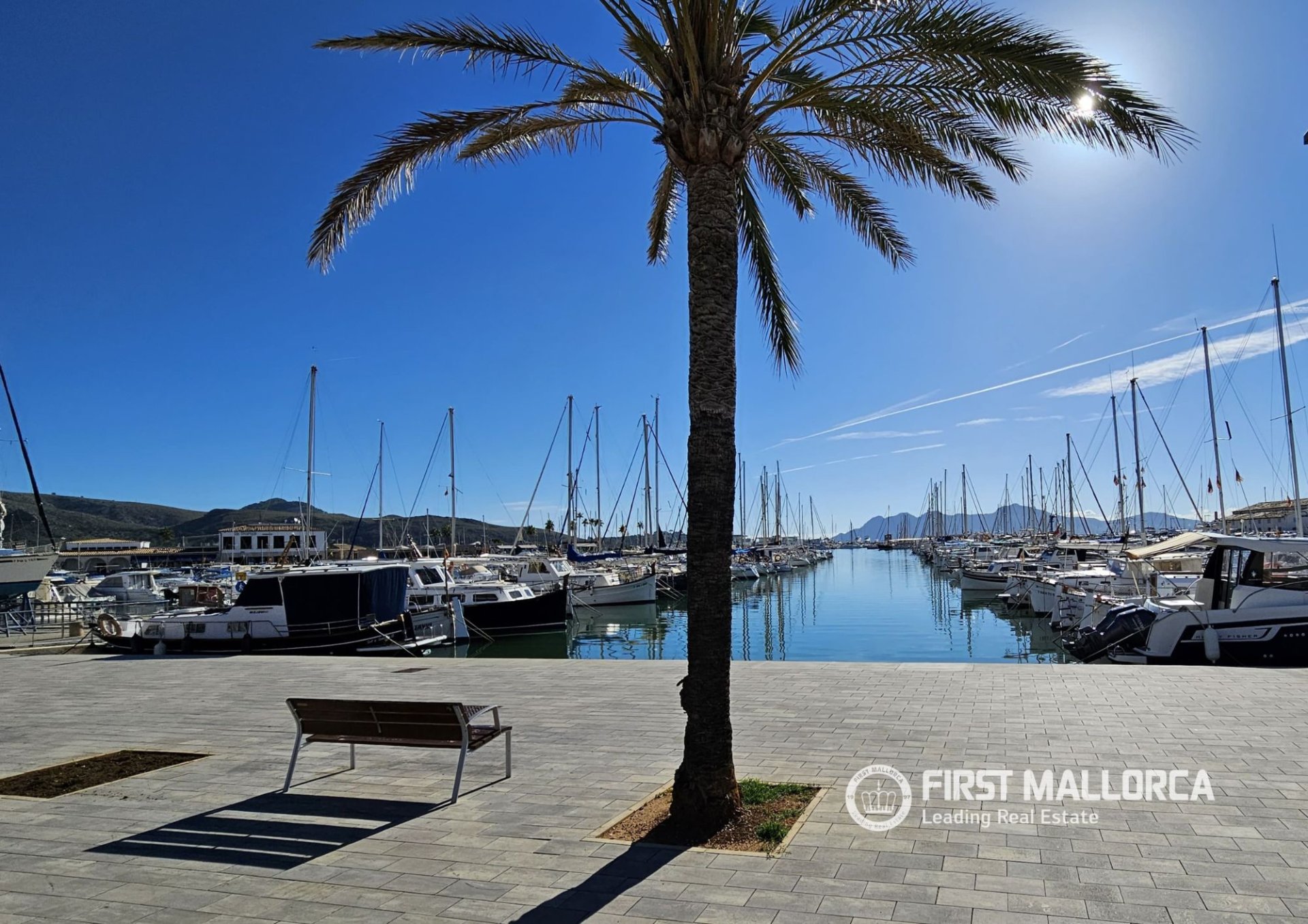 Villa en Port De Pollenca, Mallorca, España 4 dormitorios, 200 m2 No. 164303