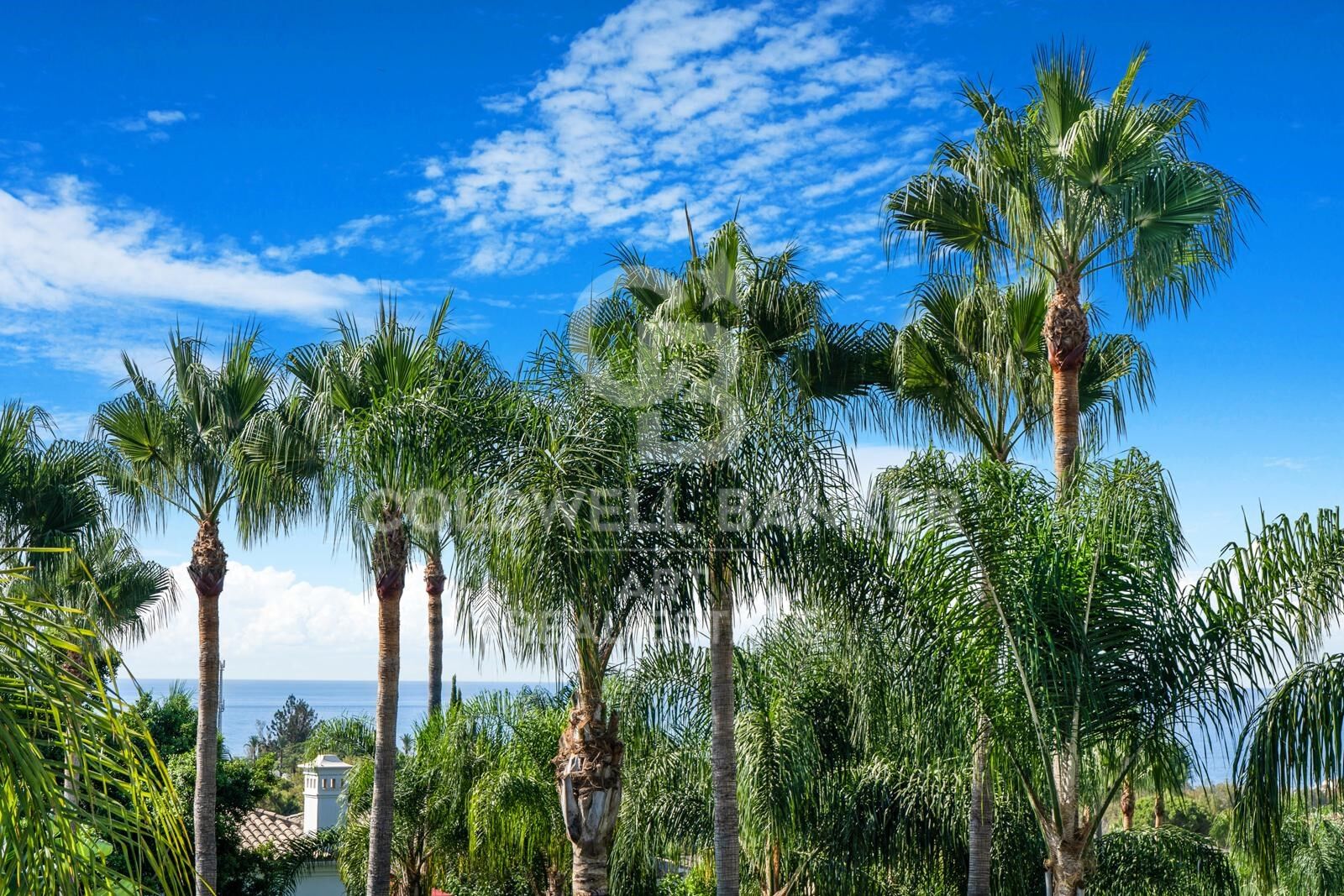 Villa à Marbella, Malaga, Espagne 5 chambres, 550 m2 No. 157645