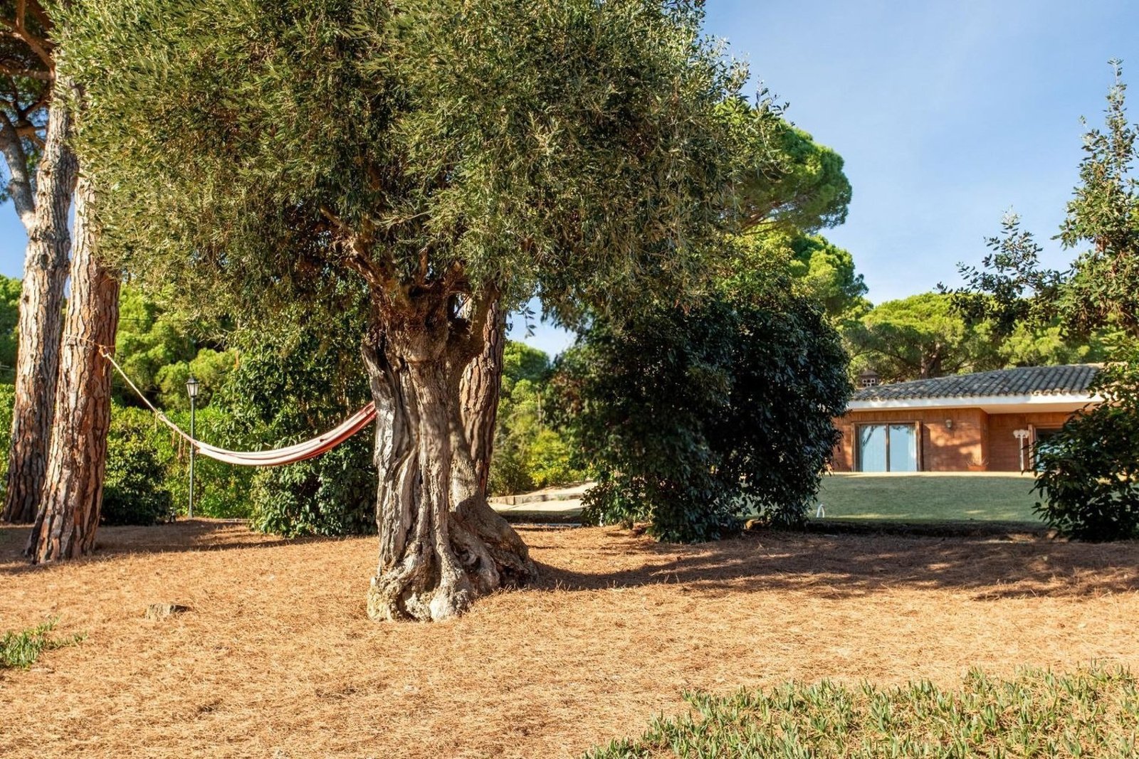 House à Sant Andreu de Llavaneres, Barcelona, Espagne 5 chambres, 495 m2 No. 148860