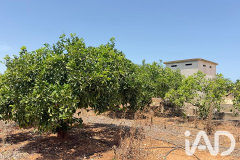 Commercial property in Ondara, Alicante, Spain No. 188149