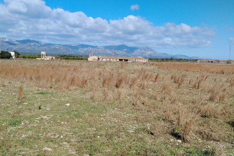 Kommersiell fastighet i Ulldecona, Tarragona, Spanien Nr. 172774