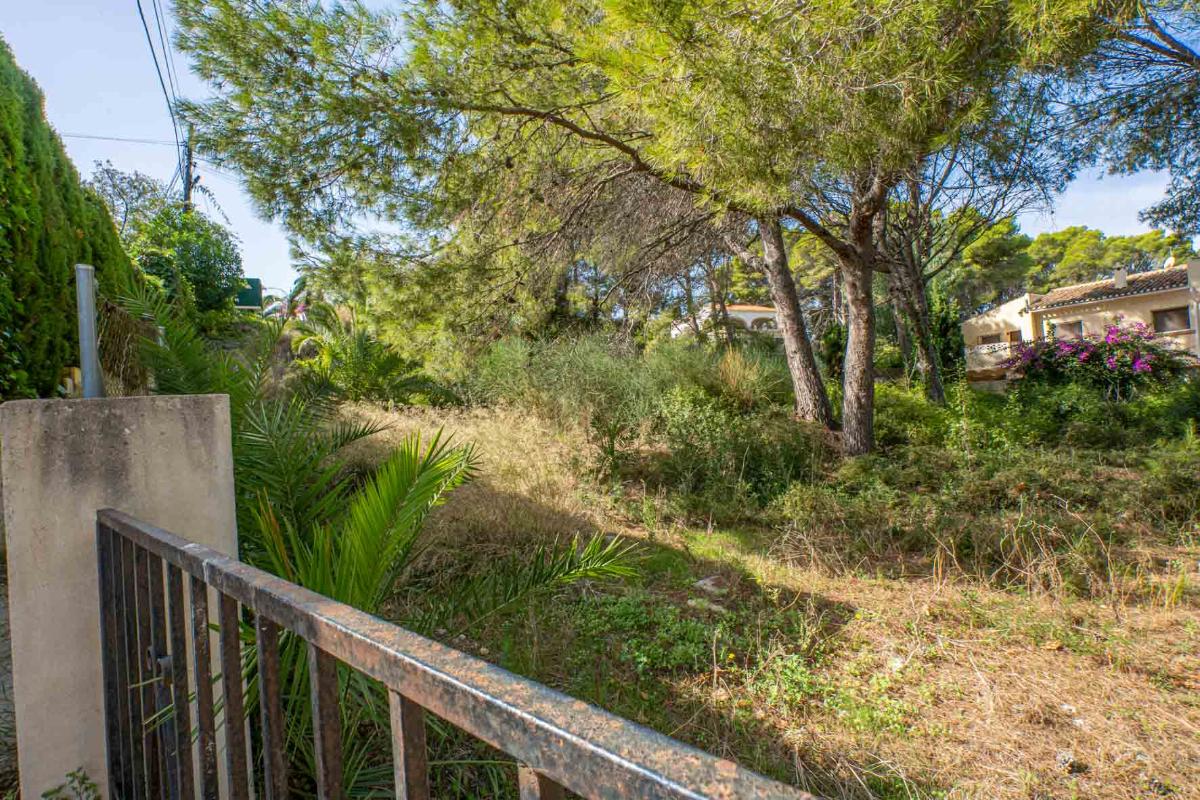 Tontti Javea, Alicante, Espanja No. 80737