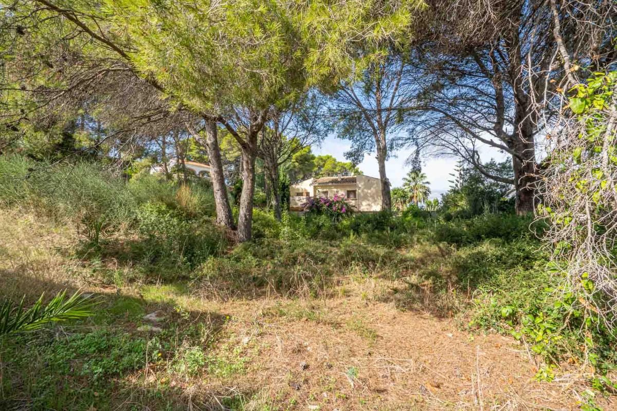 Tontti Javea, Alicante, Espanja No. 80737