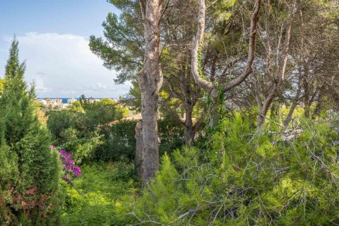 Tontti Javea, Alicante, Espanja No. 80737