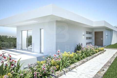 Villa en Jávea, Alicante, España 4 dormitorios, 434 m2 No. 158651