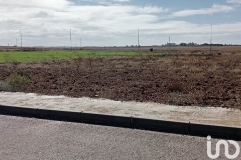 Land plot à Canada Rosal, Seville, Espagne 381 m2 No. 186077