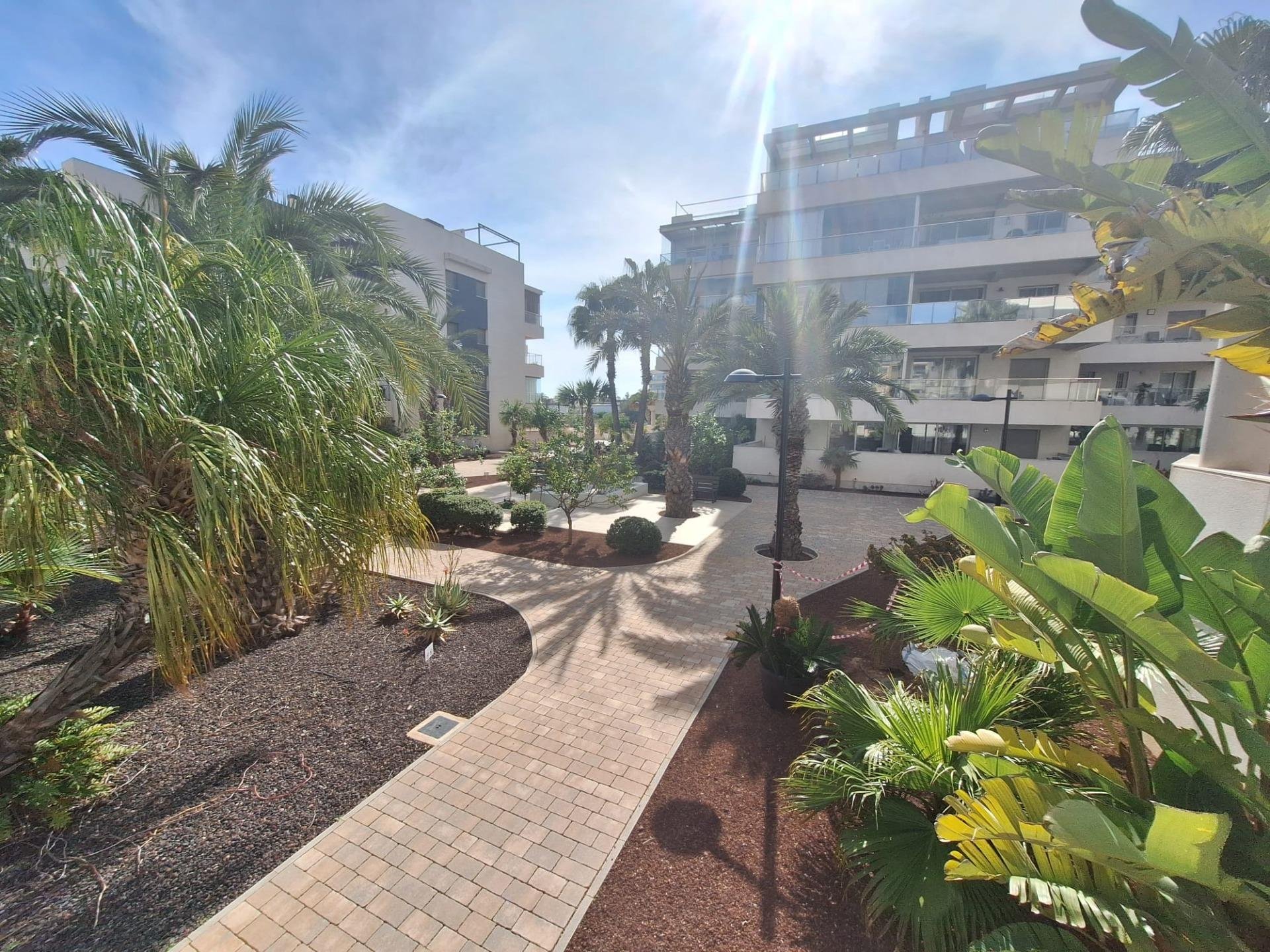 Apartment à Los Dolses, Alicante, Espagne 1 chambre, 96 m2 No. 165893