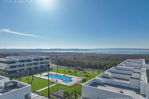Apartment à Guardamar del Segura, Alicante, Espagne 2 chambres, 80 m2 No. 154420