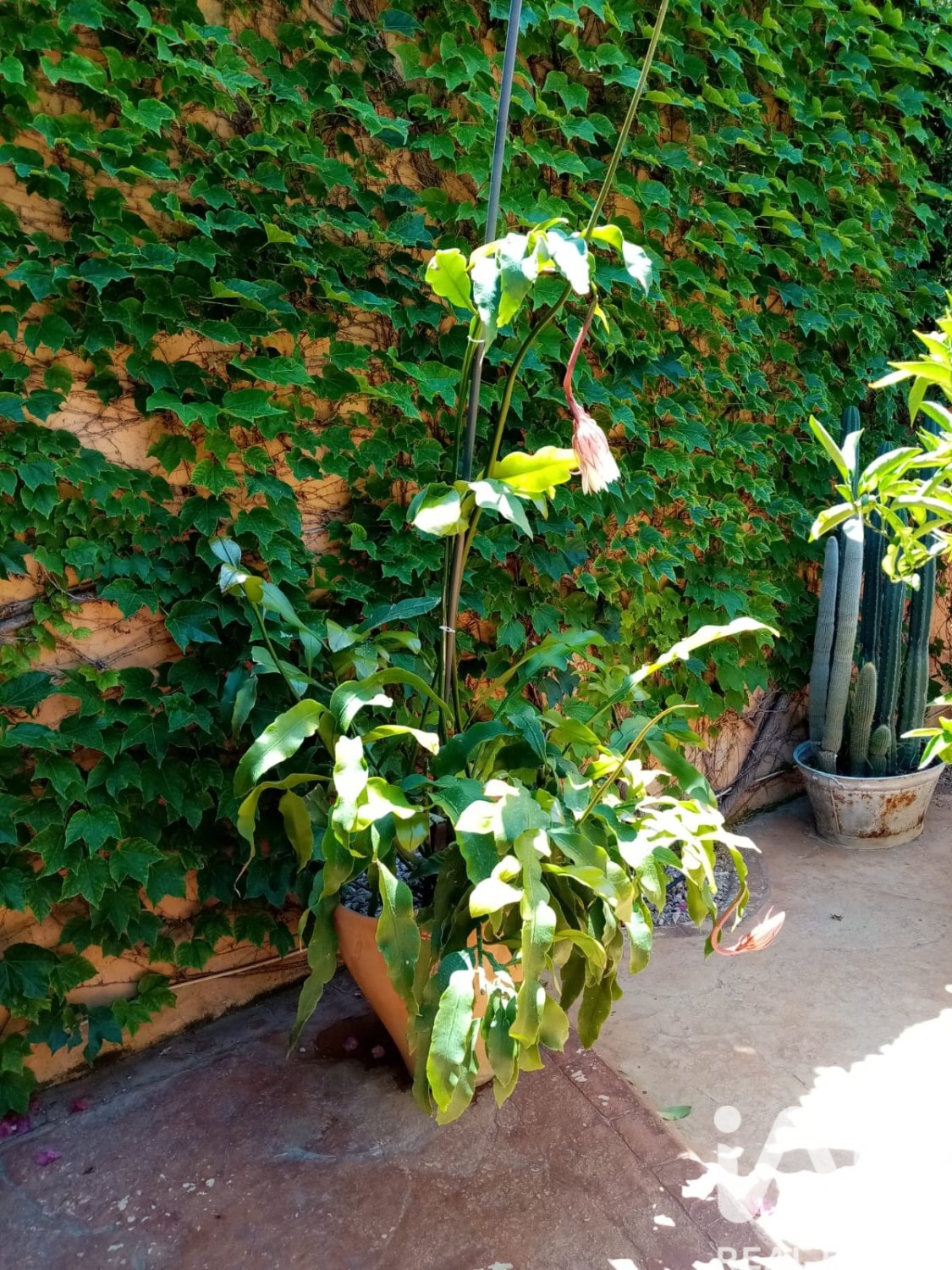 House in Busot, Alicante, Spanien 2 Schlafzimmer, 177 m2 Nr. 152536