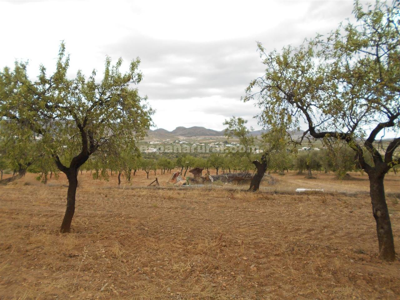 Сasa en Oria, Almería, España 7 dormitorios, 280 m2 No. 184141