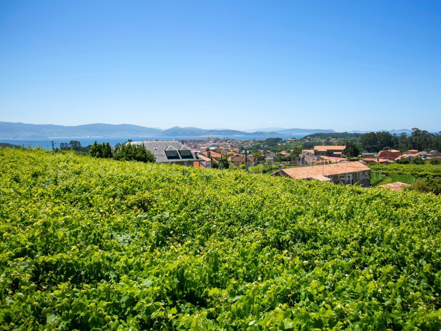 House à Sanxenxo, Pontevedra, Espagne 4 chambres, 772 m2 No. 160133