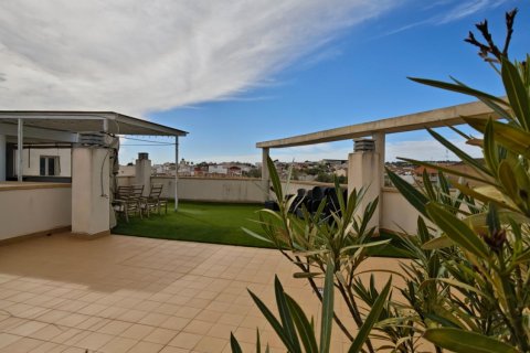 Apartament w San Miguel de Salinas, Alicante, Hiszpania 2 sypialnie,  nr 188901